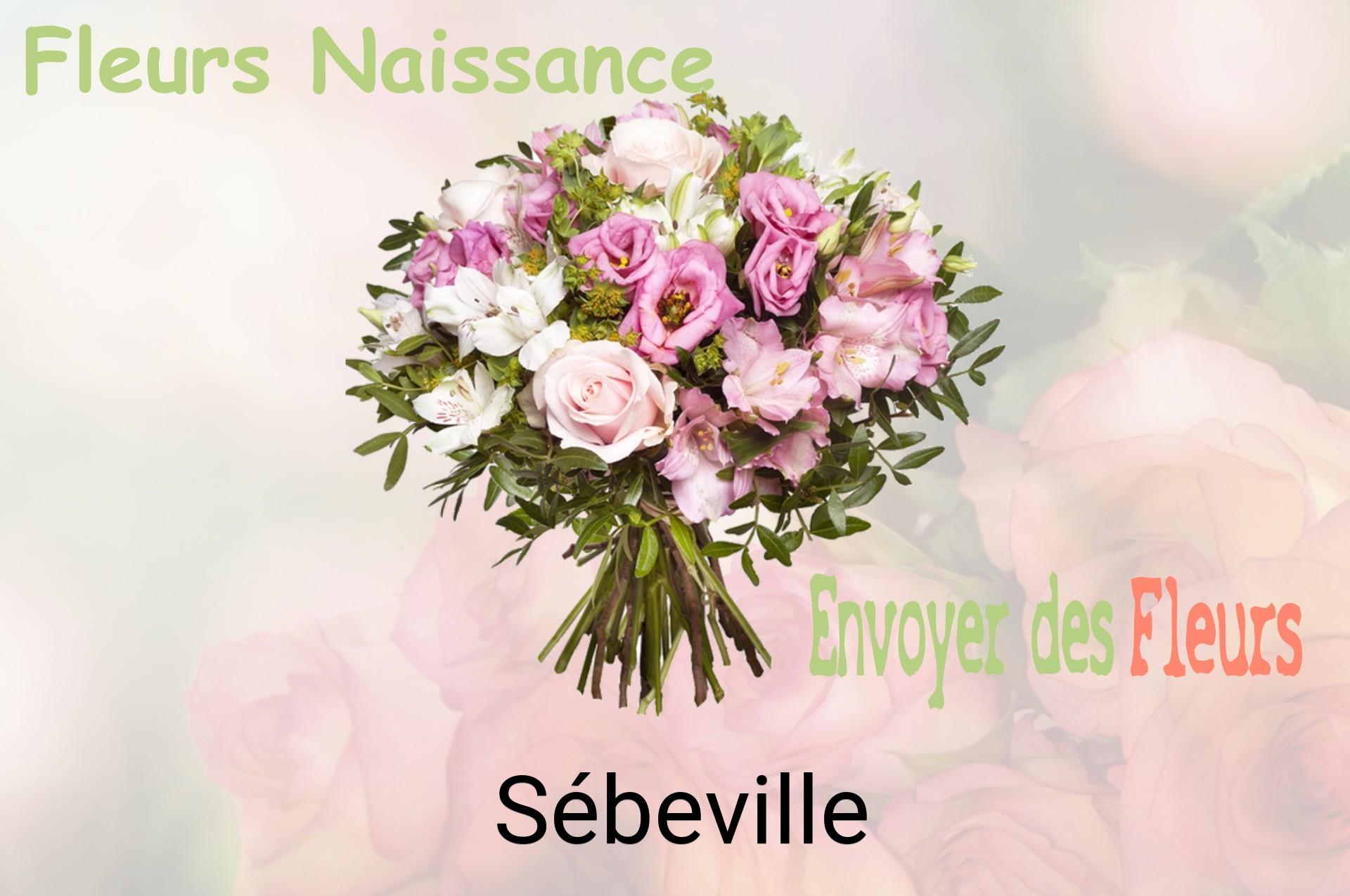 Bouquet de fleurs de naissance livré à Sébeville